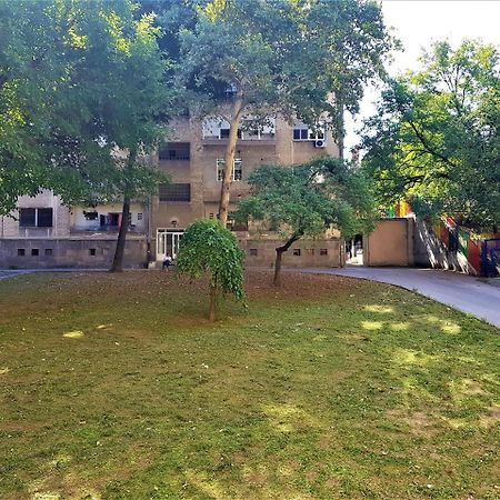 Asya Blue Studio Belgrad Dış mekan fotoğraf
