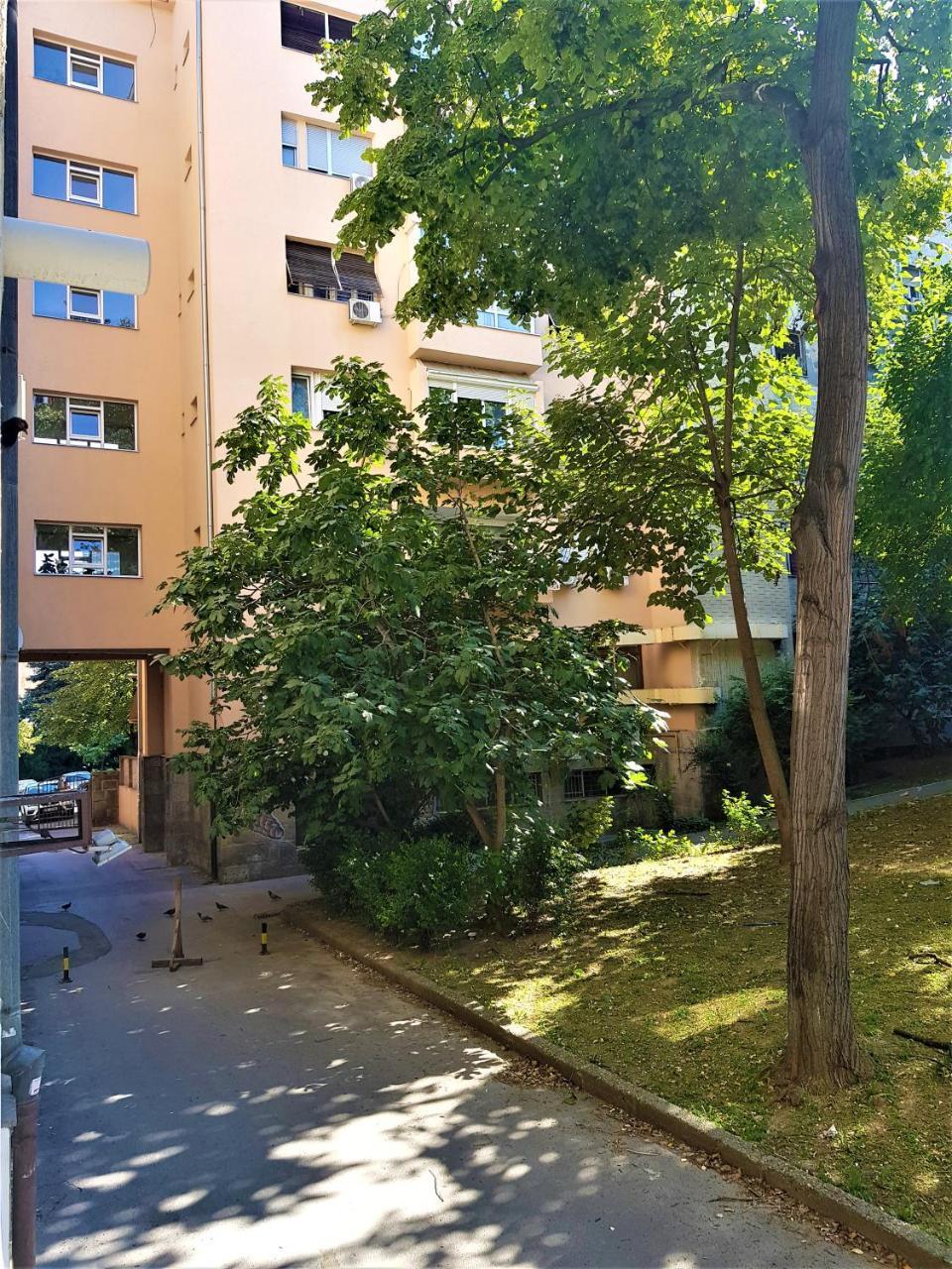 Asya Blue Studio Belgrad Dış mekan fotoğraf